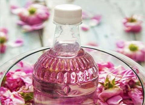 گلاب نرگس با عطری تند و کیفیتی عالی